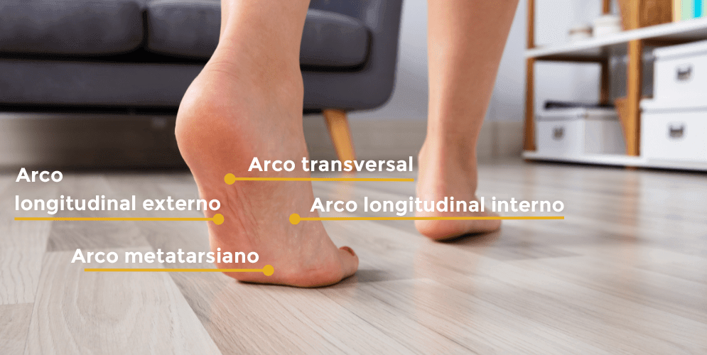 different-types-of-arches.png